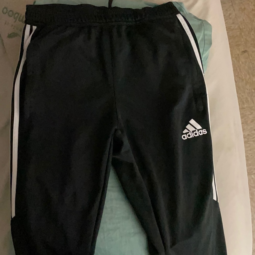 Adidas Pants